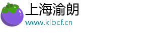 语音控制软件,车机语音控制软件-上海渝朗